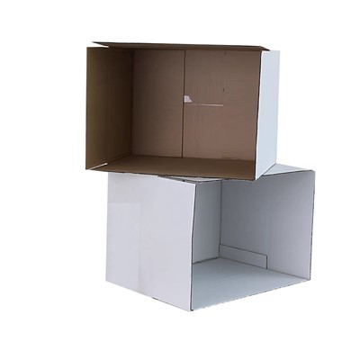 Courier Carton Printing